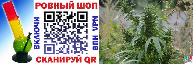 Купить Экстази  Меф  Псилоцибиновые грибы  ГАШ  Амфетамин  Псков