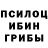Галлюциногенные грибы Cubensis Vova Grudkov