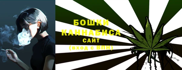 бошки Коряжма