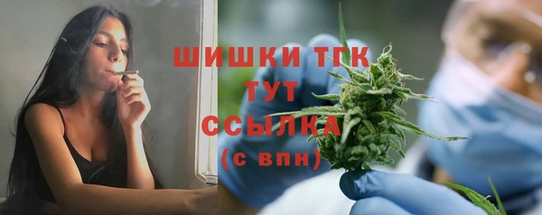 бошки Коряжма