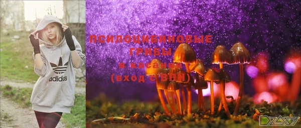 бошки Коряжма