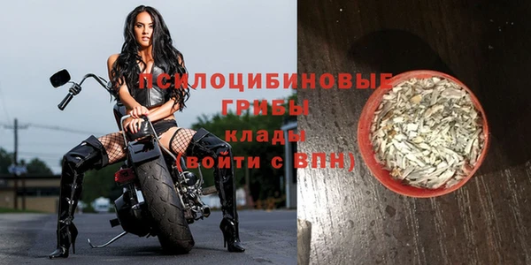 бошки Коряжма